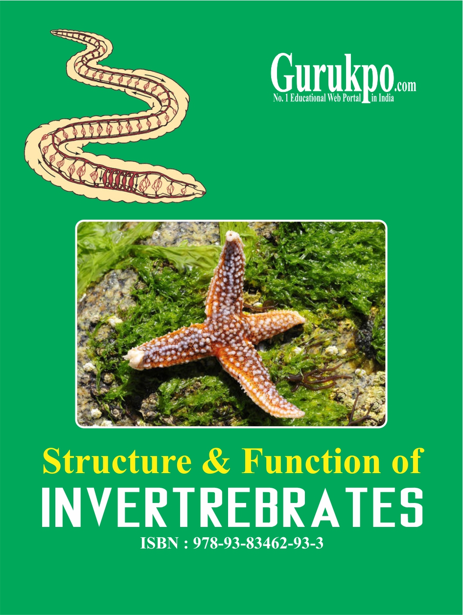 Structure and Functions of Invertebrates